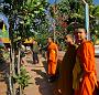 0916 Wat Phra That Doi Kong Mu